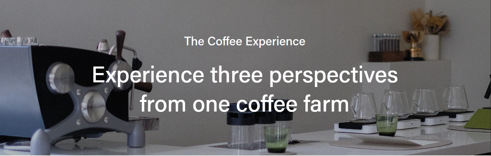 Experience Image